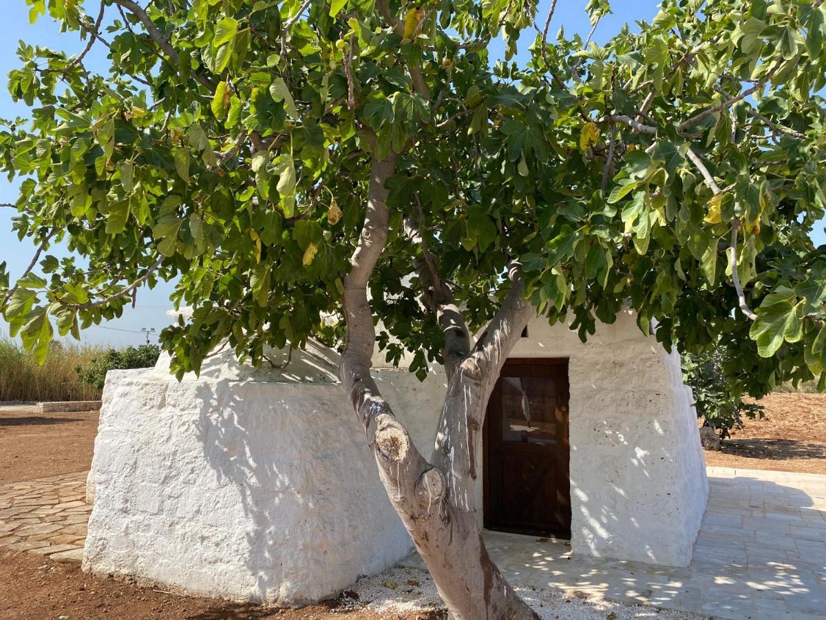 폴리나노 아마레 Trullo Seaside Polignano 빌라 외부 사진